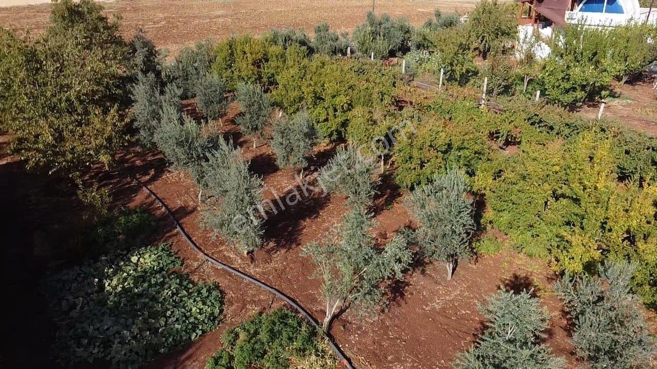 Hakev'den Adıyaman-urfa Yoluna Yakın Satılık Bağ Evi - Görsel 25