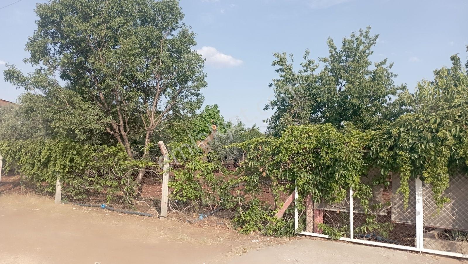 Hakev'den Adıyaman-urfa Yoluna Yakın Satılık Bağ Evi - Görsel 33