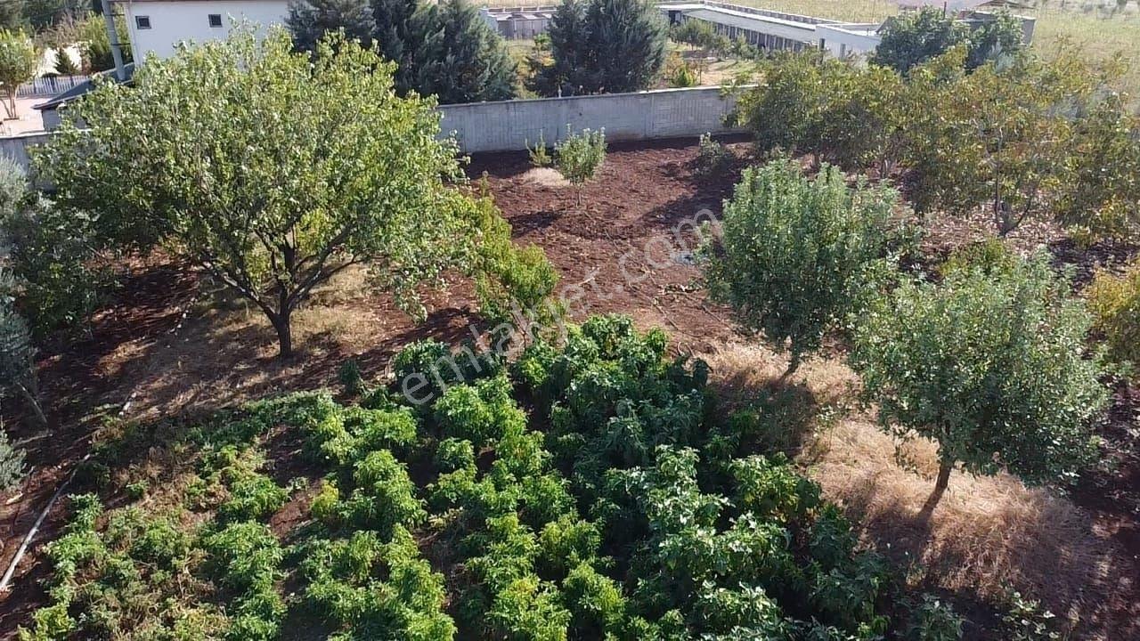 Hakev'den Adıyaman-urfa Yoluna Yakın Satılık Bağ Evi - Görsel 23