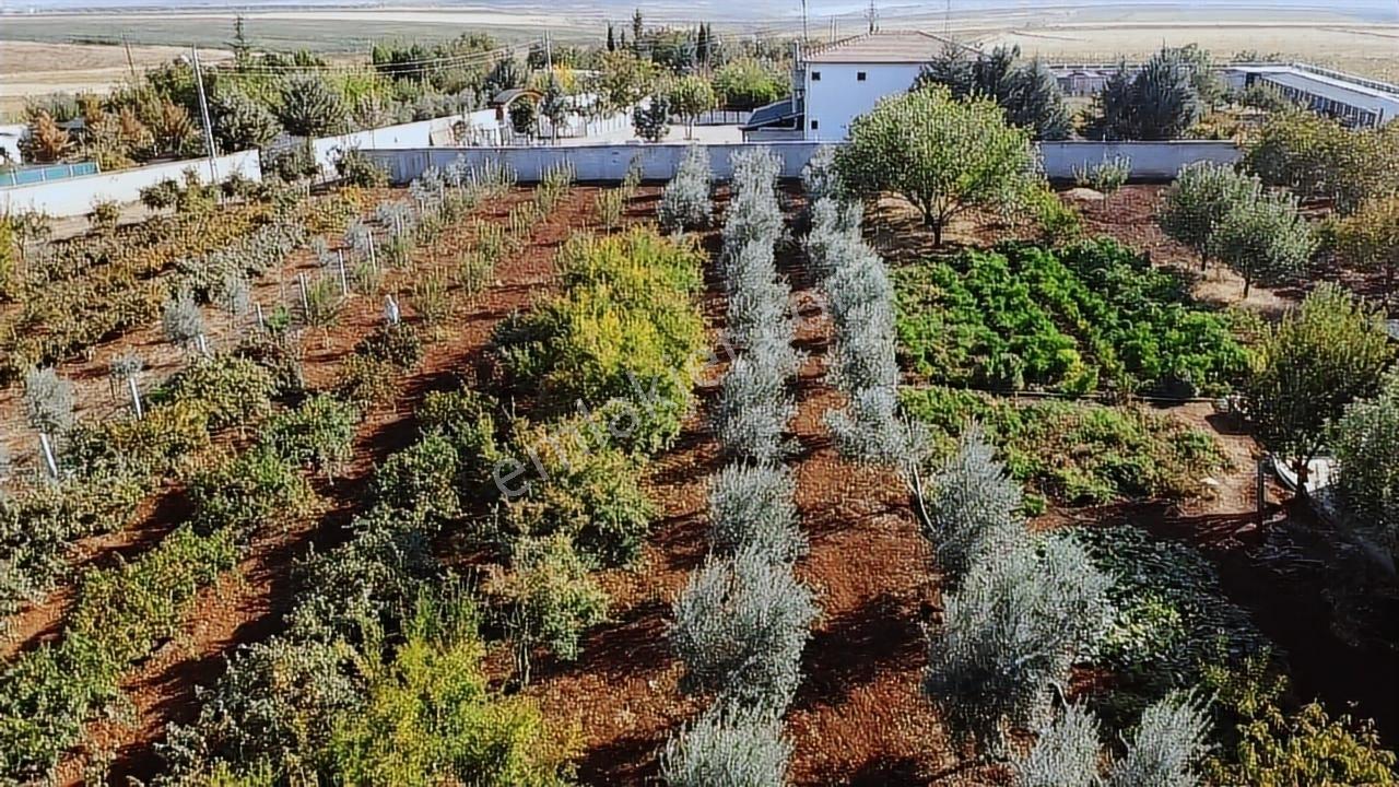 Hakev'den Adıyaman-urfa Yoluna Yakın Satılık Bağ Evi - Görsel 18