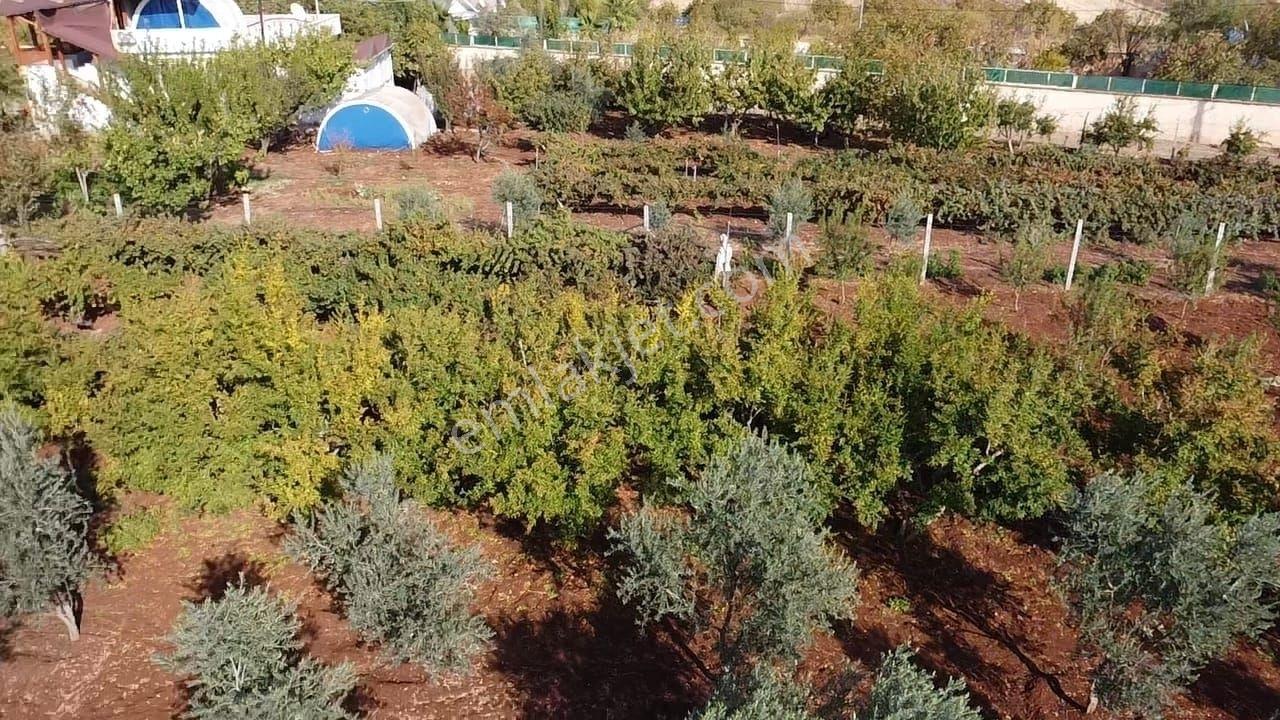 Hakev'den Adıyaman-urfa Yoluna Yakın Satılık Bağ Evi - Görsel 24