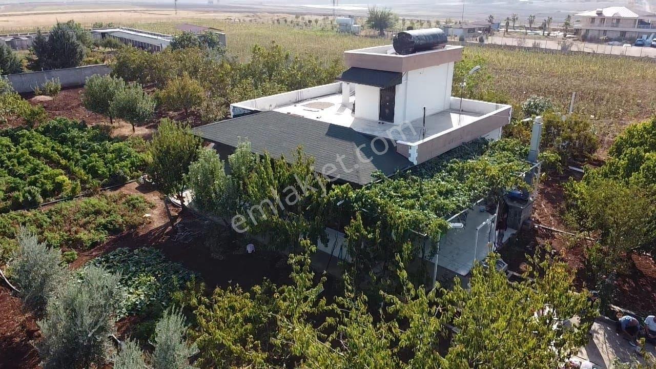Hakev'den Adıyaman-urfa Yoluna Yakın Satılık Bağ Evi - Görsel 2
