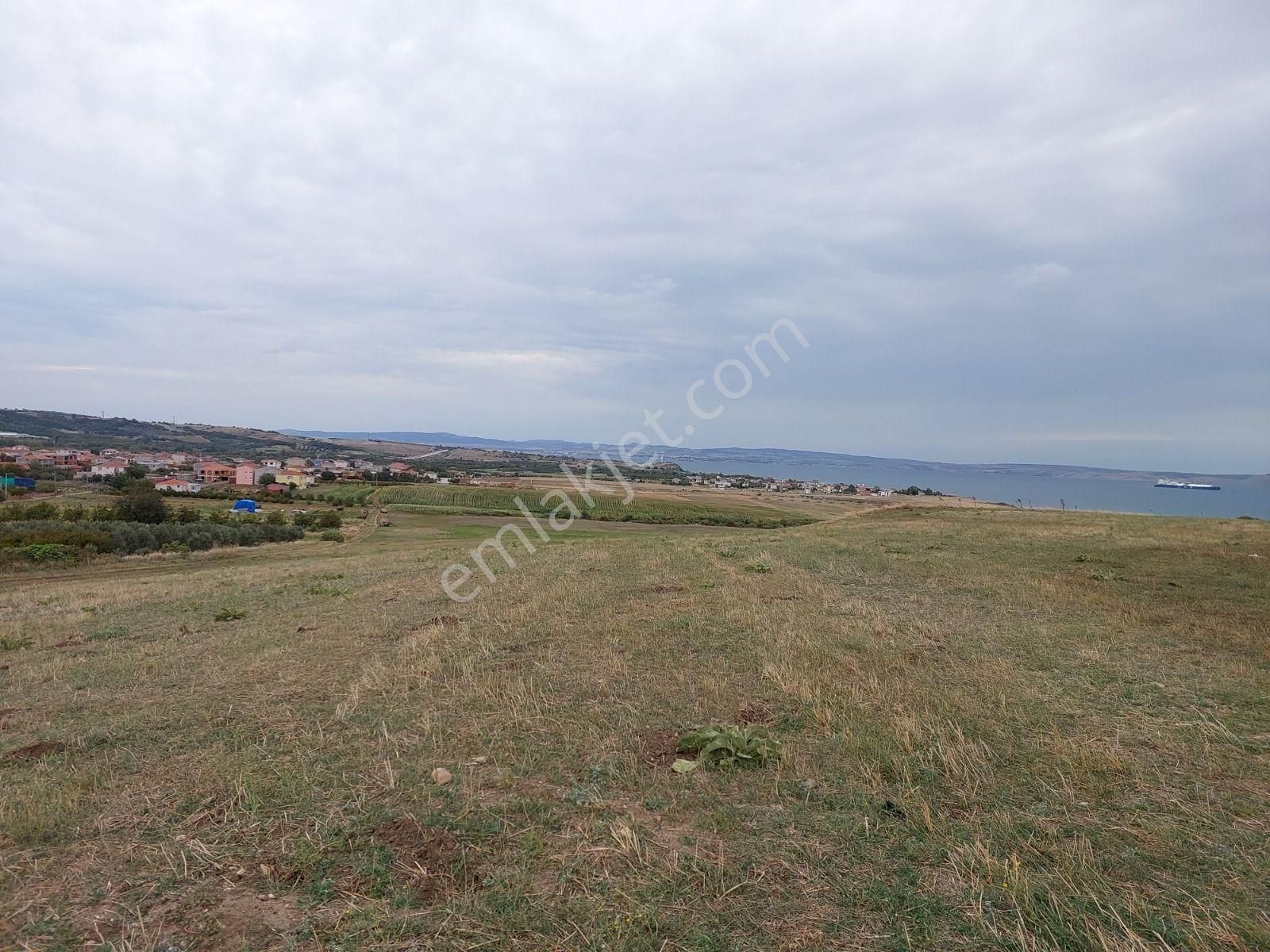 Çanakkale Lapsekide Satılık Deniz Kenarı Süper 225.245.77 M2 Tarla - Görsel 9