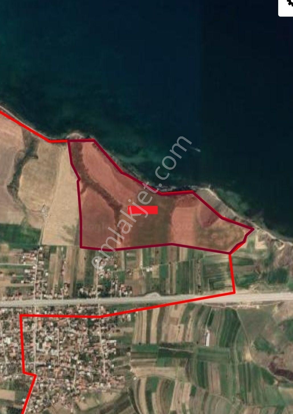 Çanakkale Lapsekide Satılık Deniz Kenarı Süper 225.245.77 M2 Tarla - Görsel 6