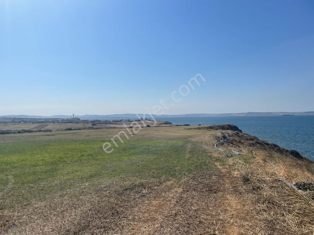 Çanakkale Lapsekide Satılık Deniz Kenarı Süper 225.245.77 M2 Tarla - Görsel 11