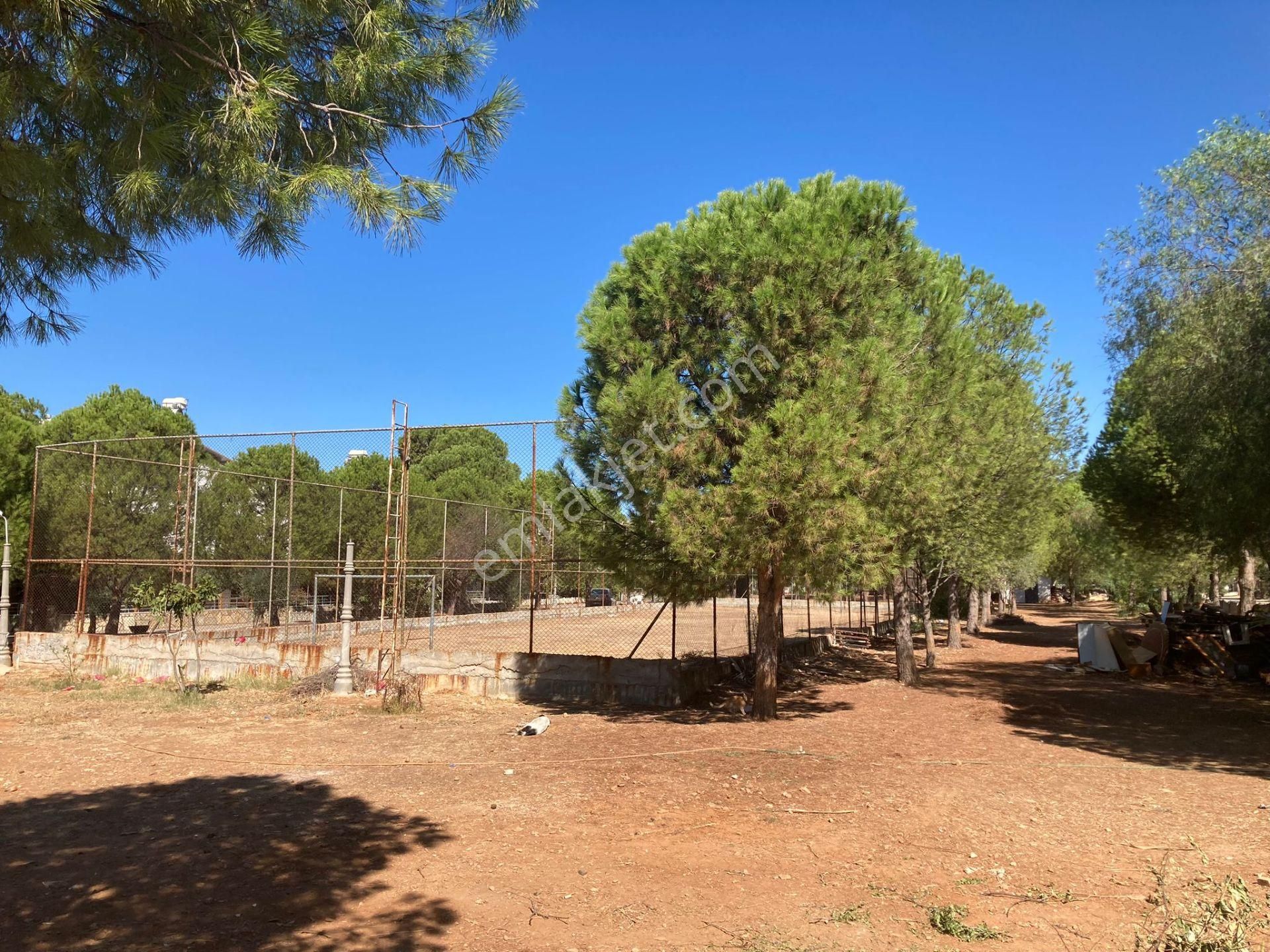 Didim Akbükte Denize 300 Metre Müstakil Bahceli 3+1 Villa - Görsel 24