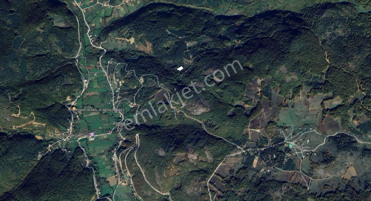 C21 Cius; İznik Elmalıda 1461 M2 Satılık Tarla - Görsel 4