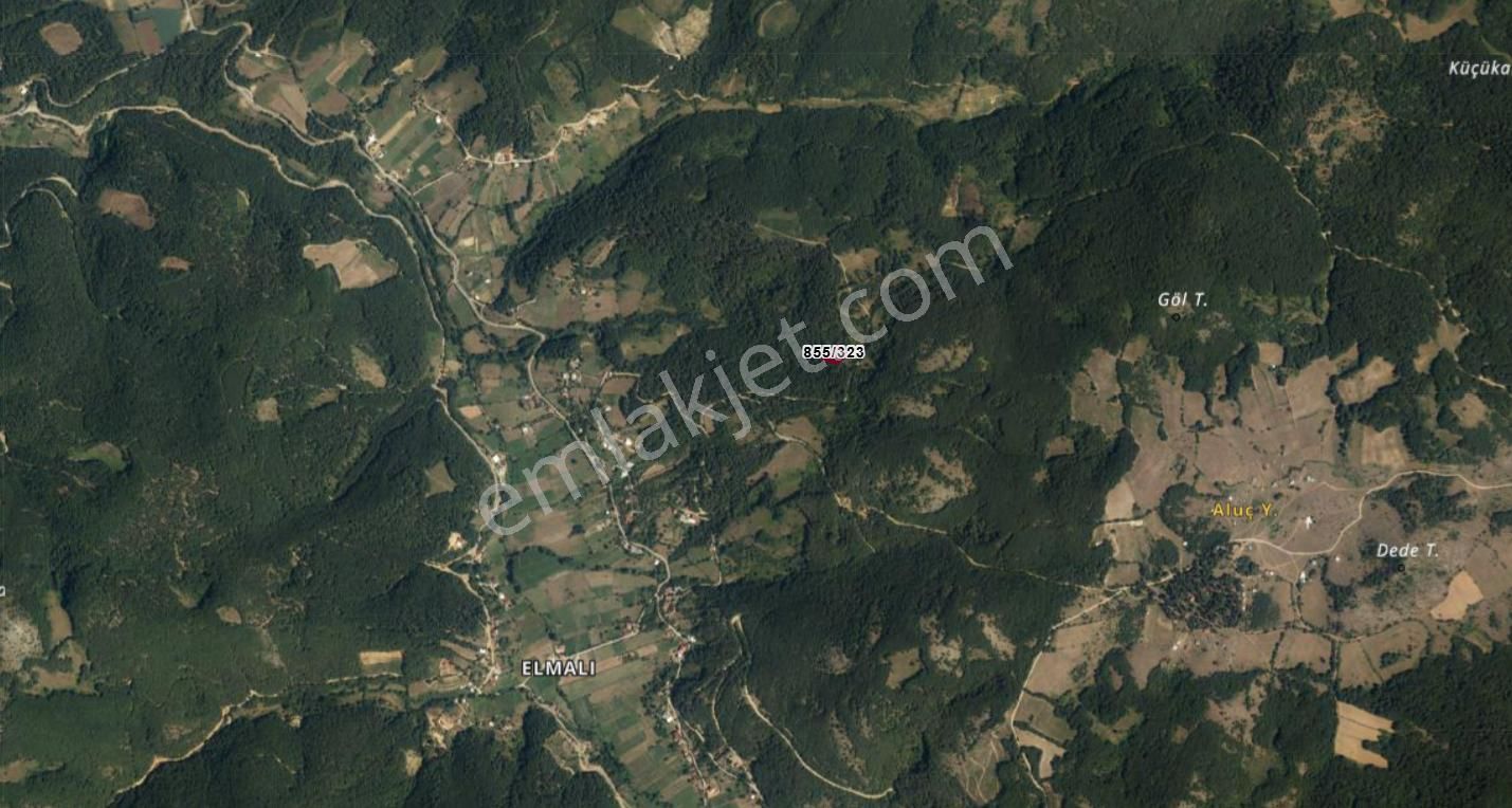 C21 Cius; İznik Elmalıda 1461 M2 Satılık Tarla