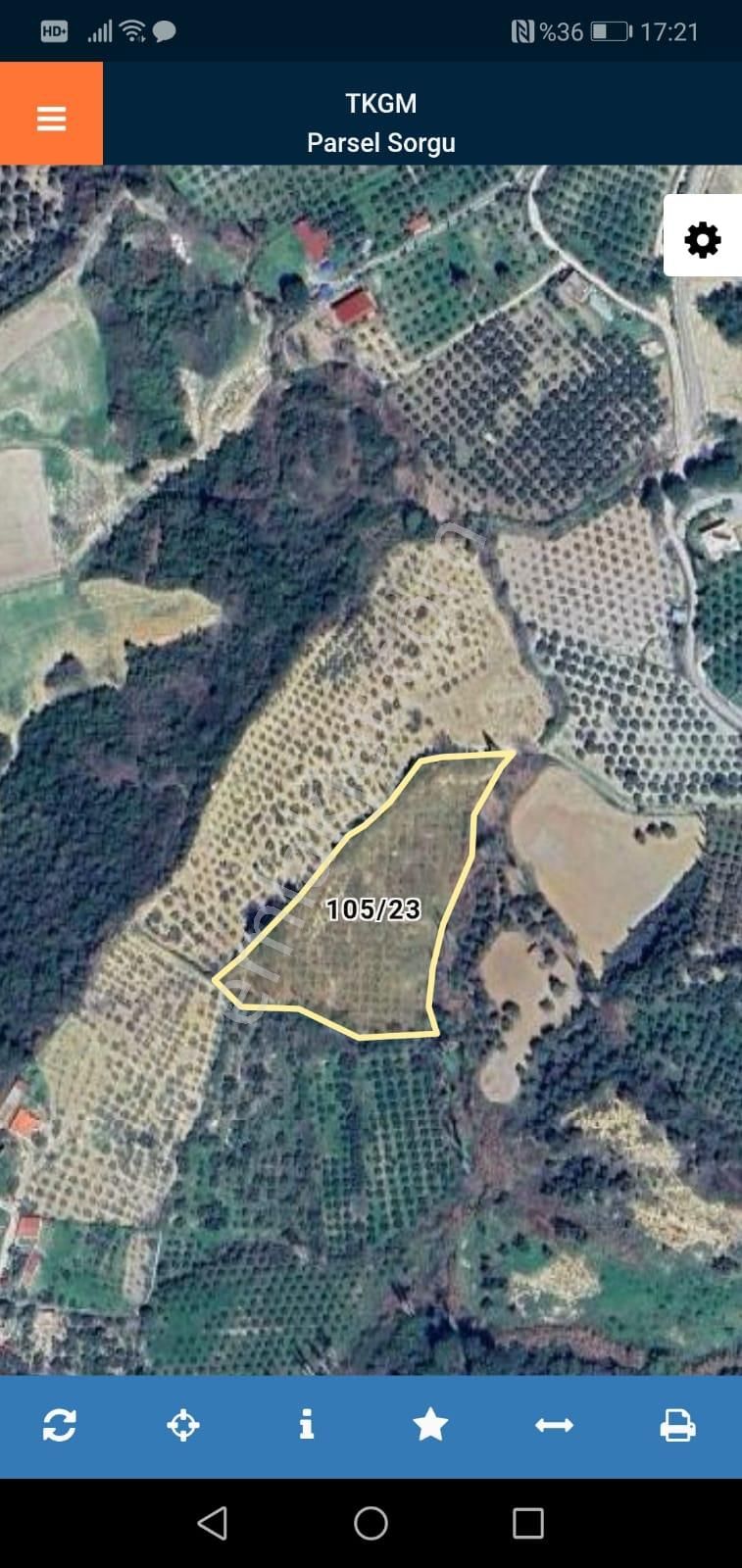 Söke Emlak Ofisinden Ağaclı Köyünde Zeytinlik - Görsel 12