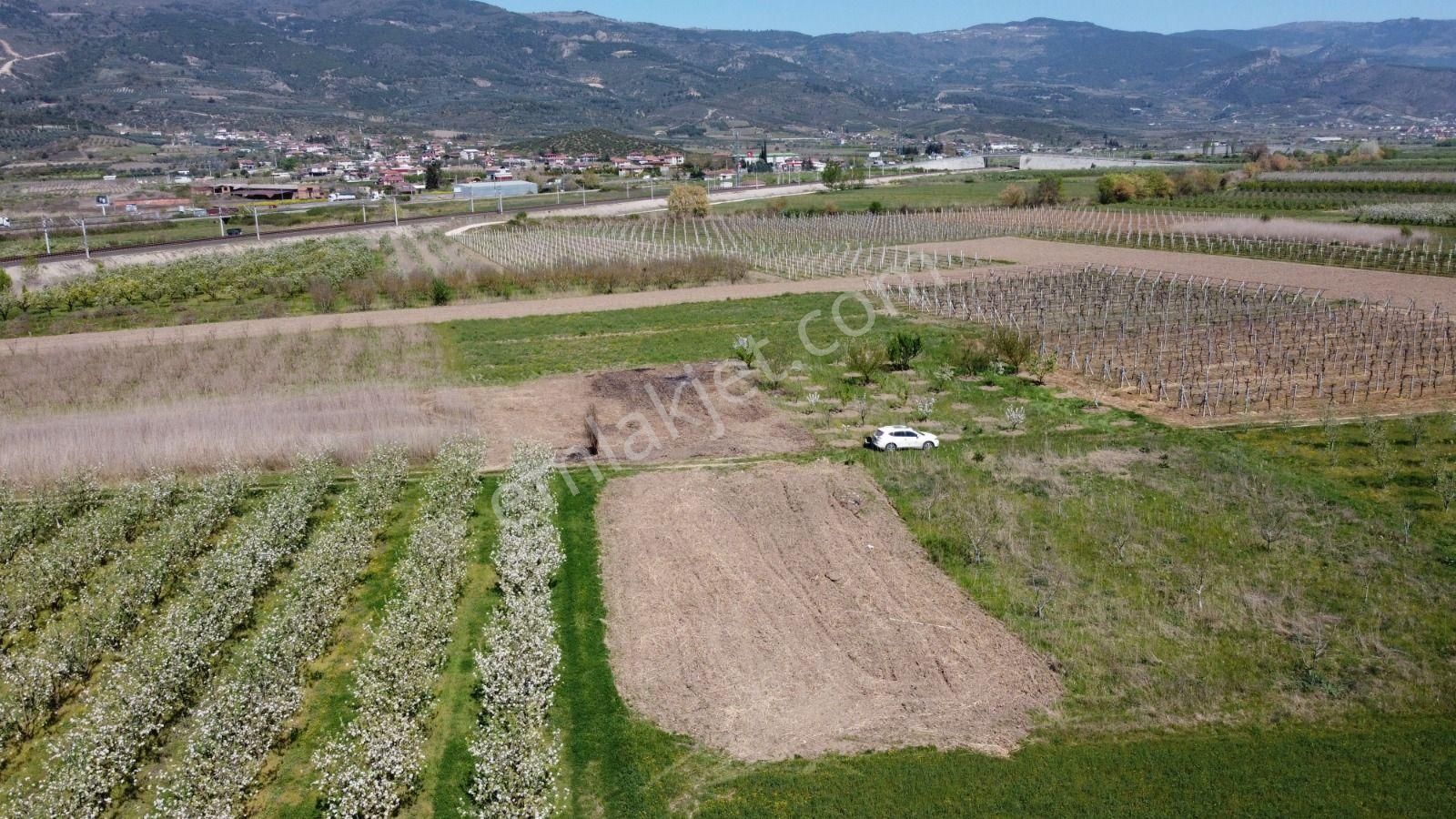 Sakarya Pamukova Satılık Emsalsiz Resmi Yolu Var Köye Yakın Süper Arazi - Görsel 3