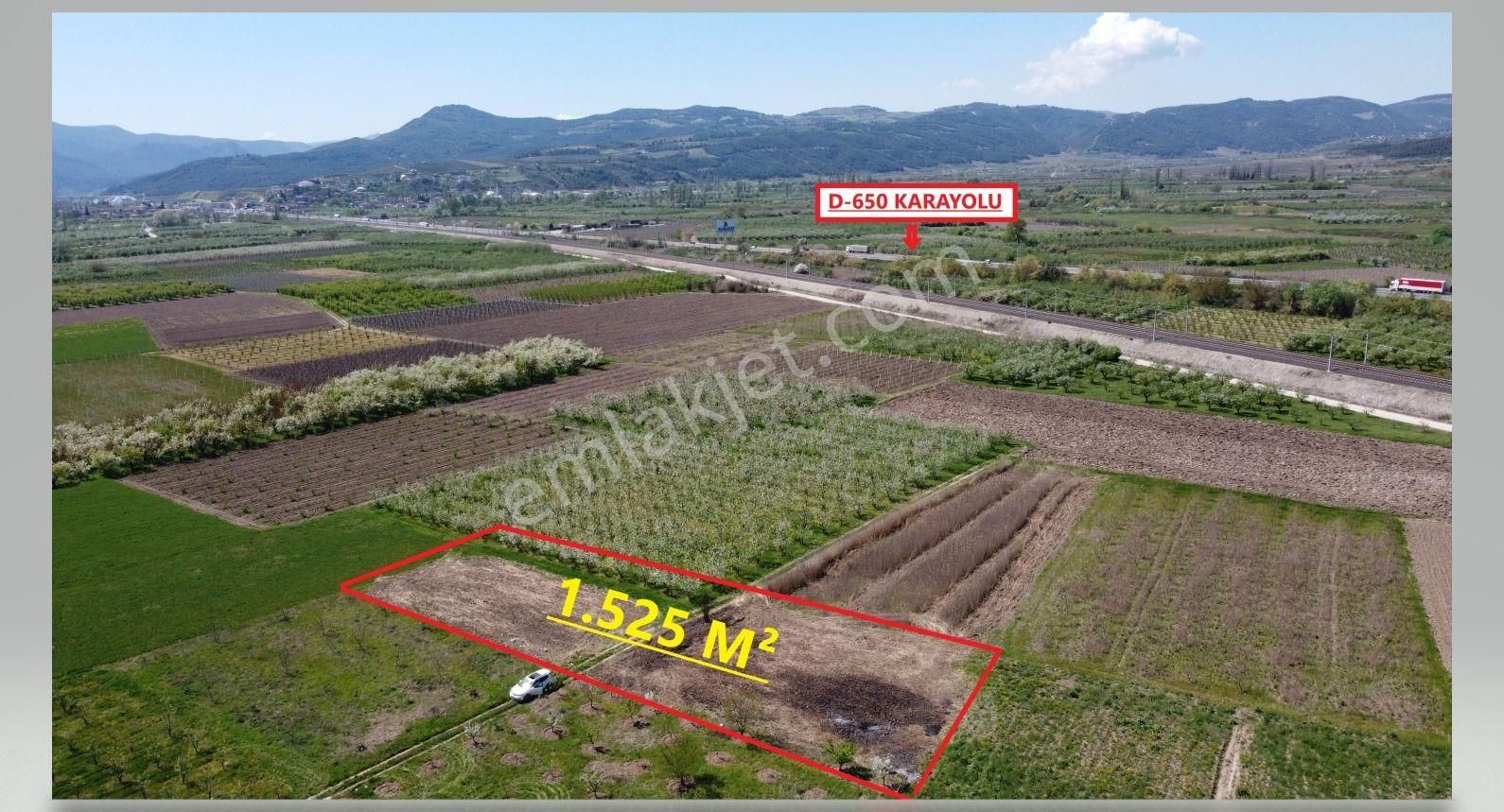 Sakarya Pamukova Satılık Emsalsiz Resmi Yolu Var Köye Yakın Süper Arazi - Görsel 2