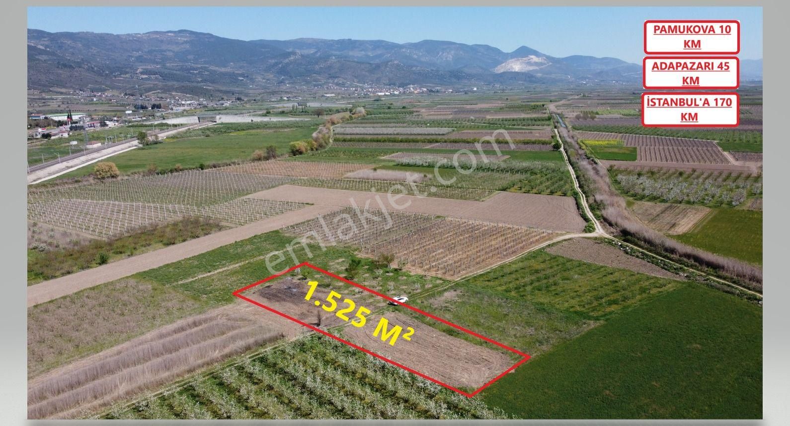 Sakarya Pamukova Satılık Emsalsiz Resmi Yolu Var Köye Yakın Süper Arazi - Görsel 4