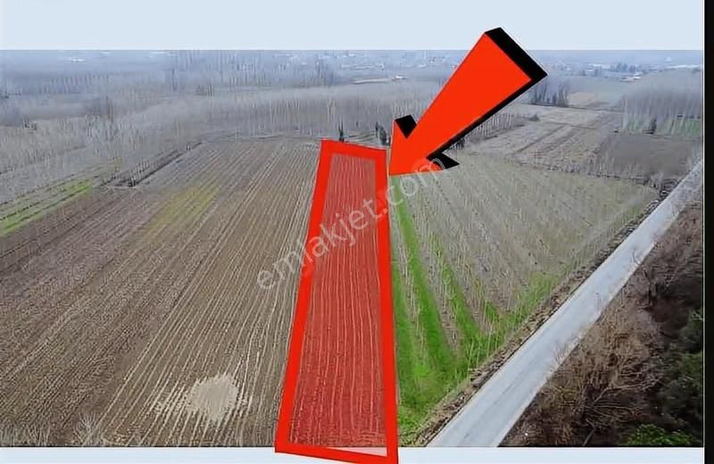 8.230 M2 Resmi Yolu Mevcut Müstakil Tapu Asfalta Sıfır