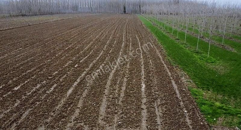 8.230 M2 Resmi Yolu Mevcut Müstakil Tapu Asfalta Sıfır - Görsel 5