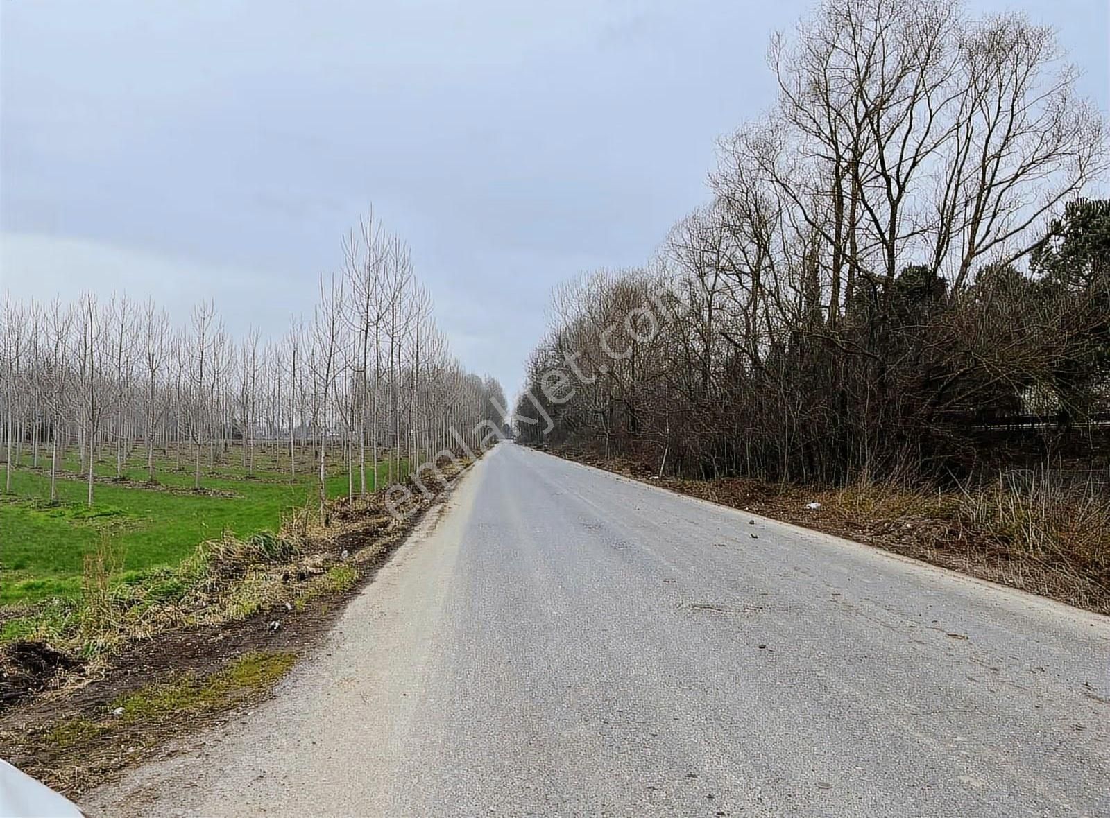 8.230 M2 Resmi Yolu Mevcut Müstakil Tapu Asfalta Sıfır - Görsel 11