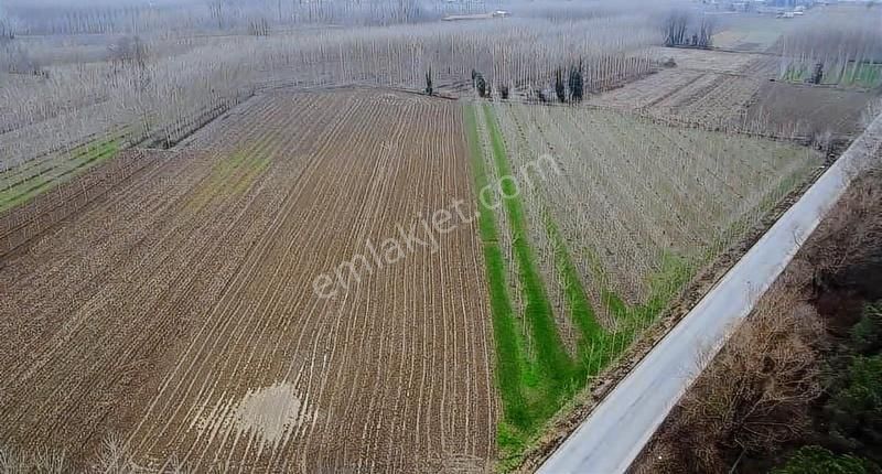8.230 M2 Resmi Yolu Mevcut Müstakil Tapu Asfalta Sıfır - Görsel 8
