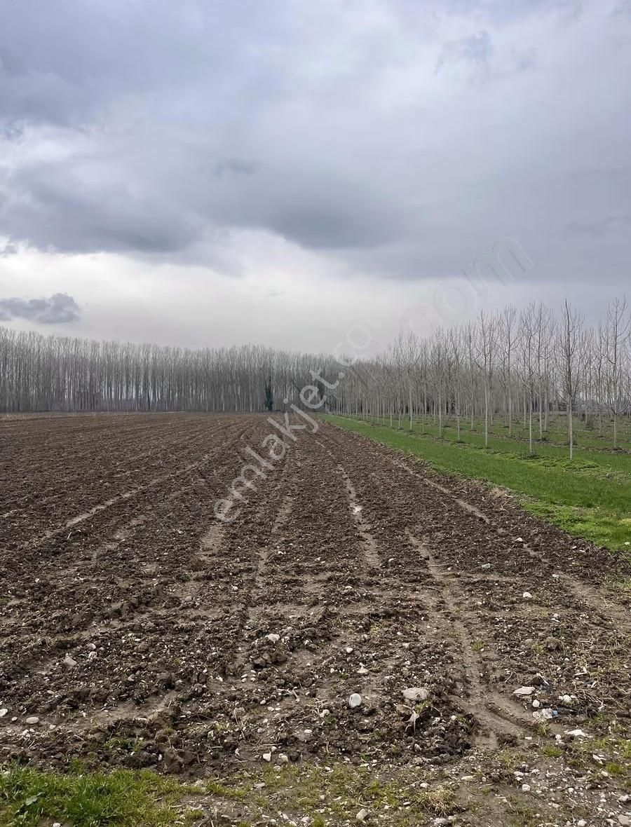 8.230 M2 Resmi Yolu Mevcut Müstakil Tapu Asfalta Sıfır - Görsel 4