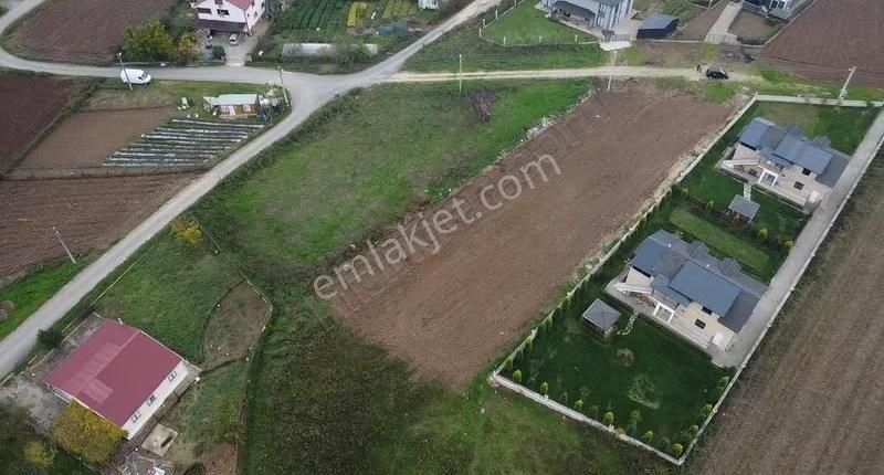 Akyazı Altındere Cumhuriyet Mahallesinde 2 Dönüm Mükemmel Arsa - Görsel 4