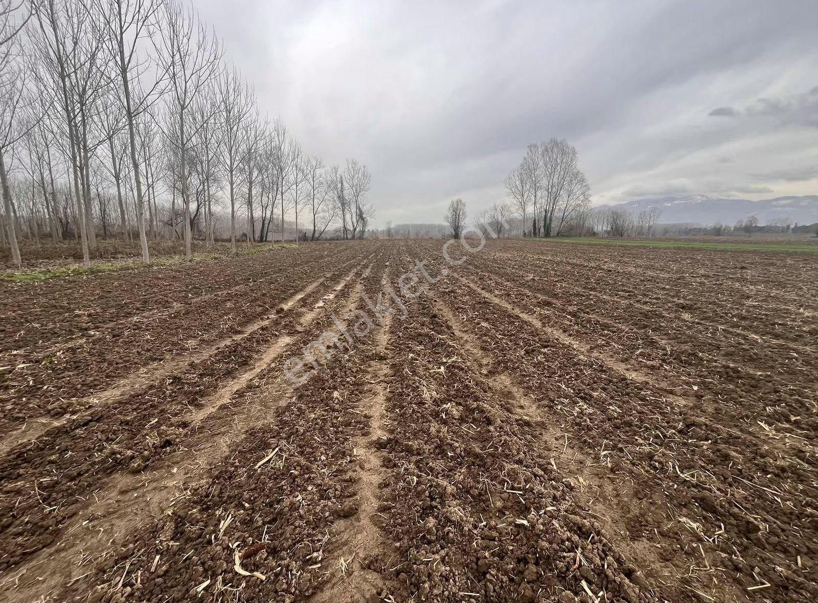 Mahalle İçine Yakın Konumda . Yolu Var Yatırımlık - Görsel 4