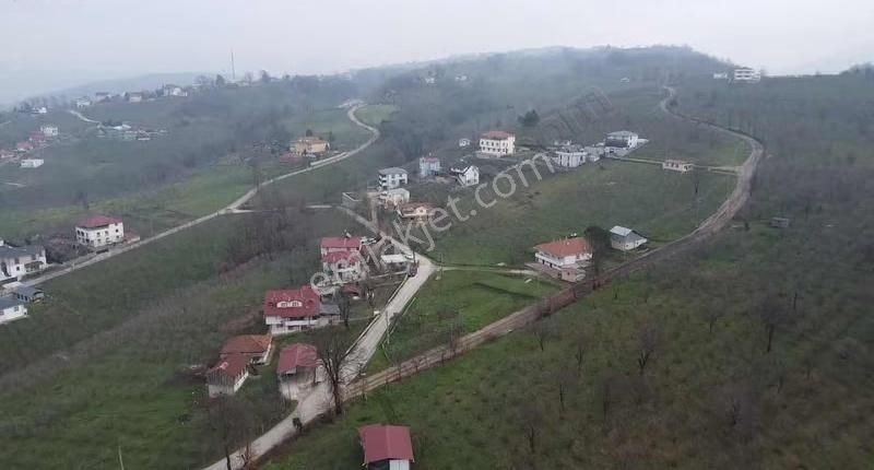 Kuzulukta 583 M2 Arazi - Görsel 5