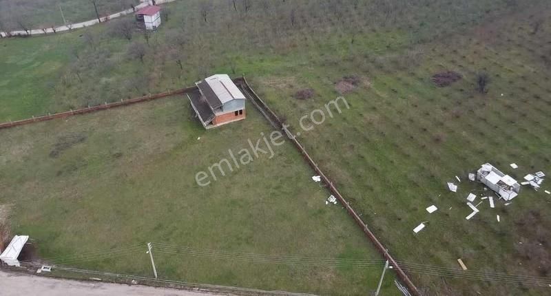 Kuzulukta 583 M2 Arazi - Görsel 13