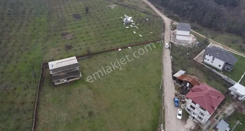 Kuzulukta 583 M2 Arazi - Görsel 14