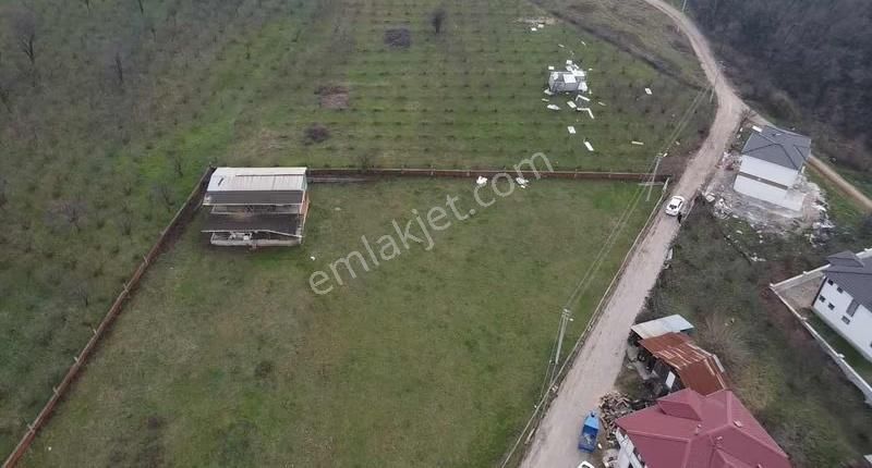 Kuzulukta 583 M2 Arazi - Görsel 11