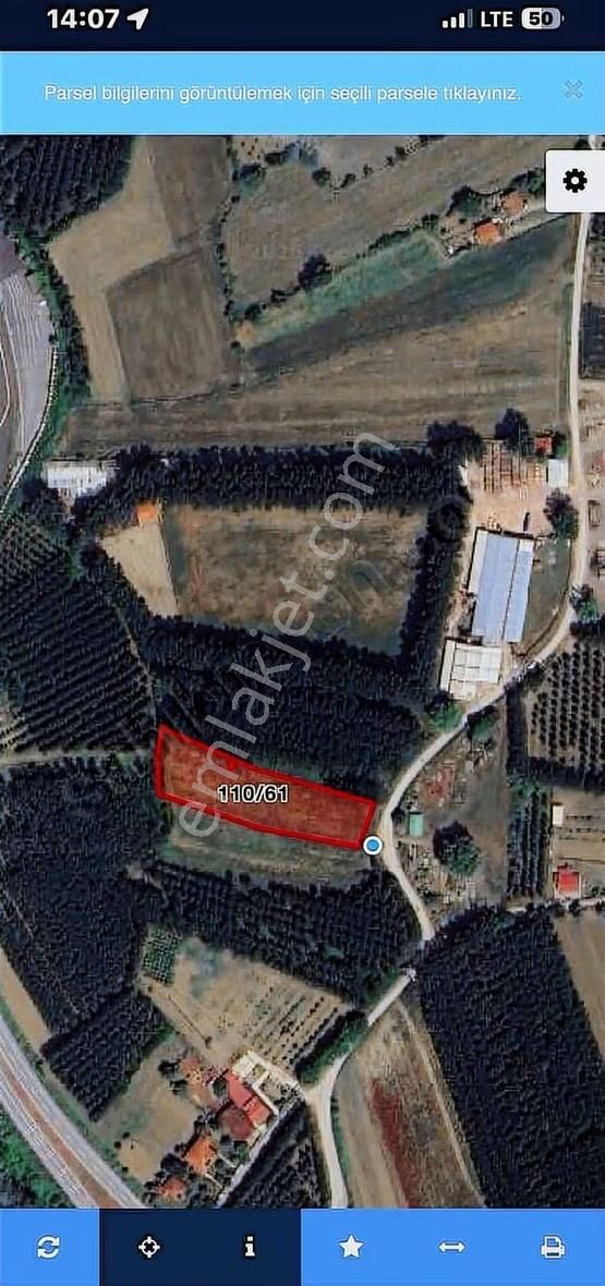 Vural Emlaktan Hayvancılık Atölye İşine Uygun Asfalta Sıfır - Görsel 10