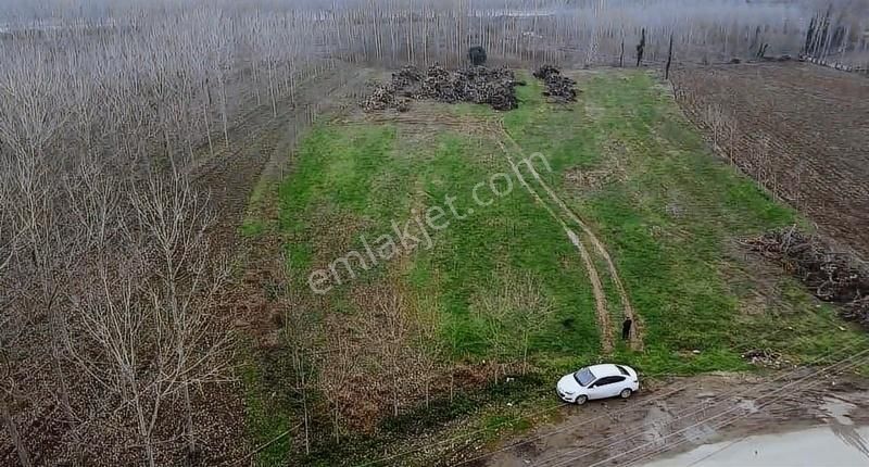 Vural Emlaktan Hayvancılık Atölye İşine Uygun Asfalta Sıfır - Görsel 2