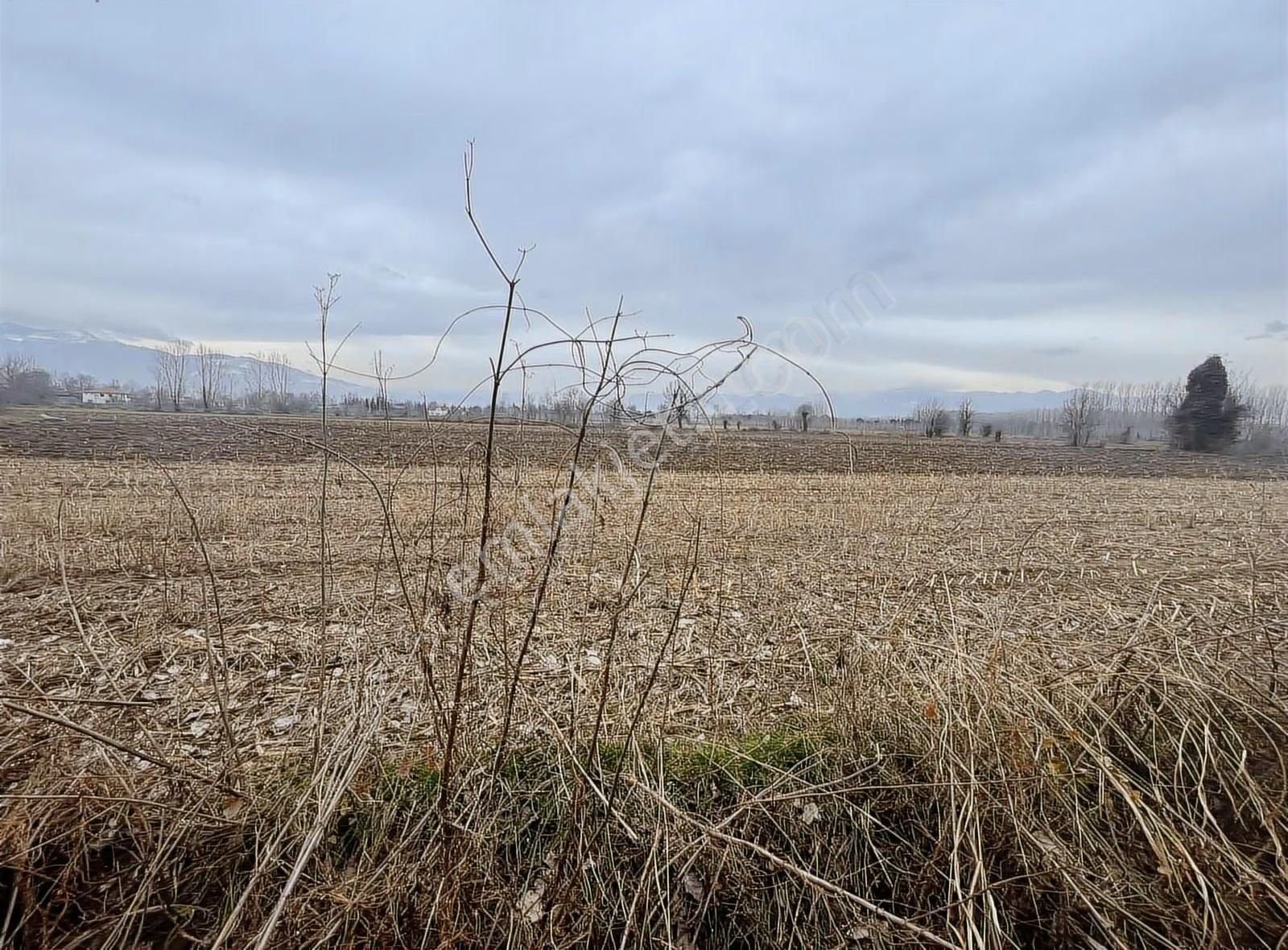 Köy İçine Yakın Konumda 1230m2 Yatırımlık Arazi - Görsel 3