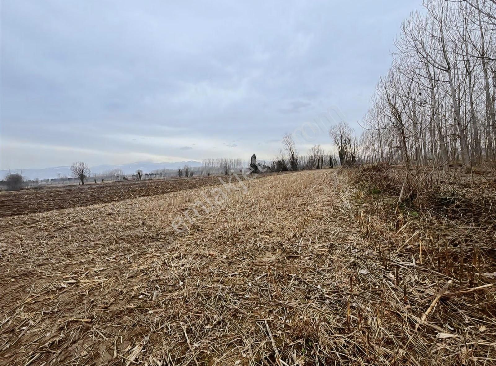 Köy İçine Yakın Konumda 1230m2 Yatırımlık Arazi - Görsel 7