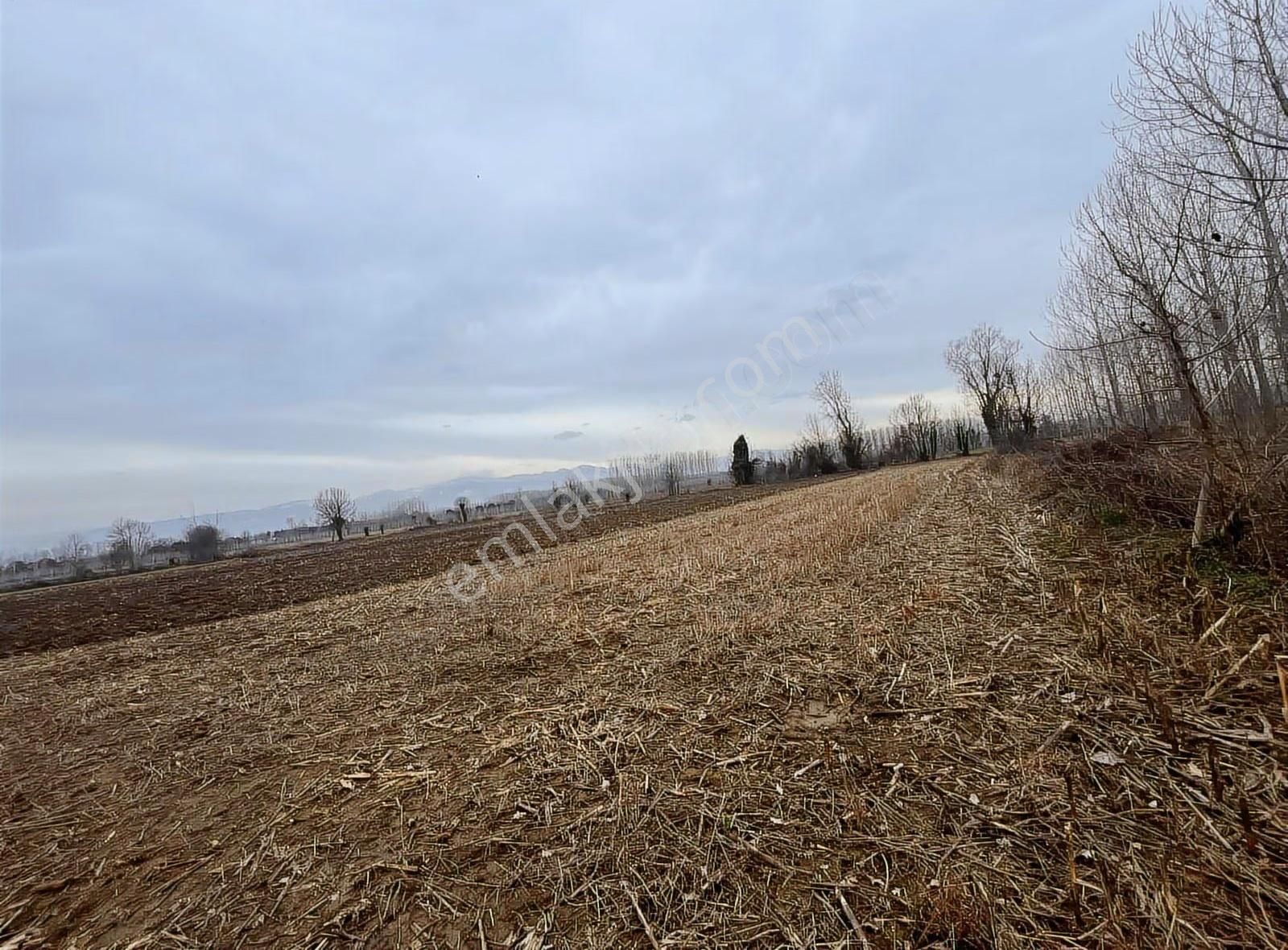 Köy İçine Yakın Konumda 1230m2 Yatırımlık Arazi - Görsel 5