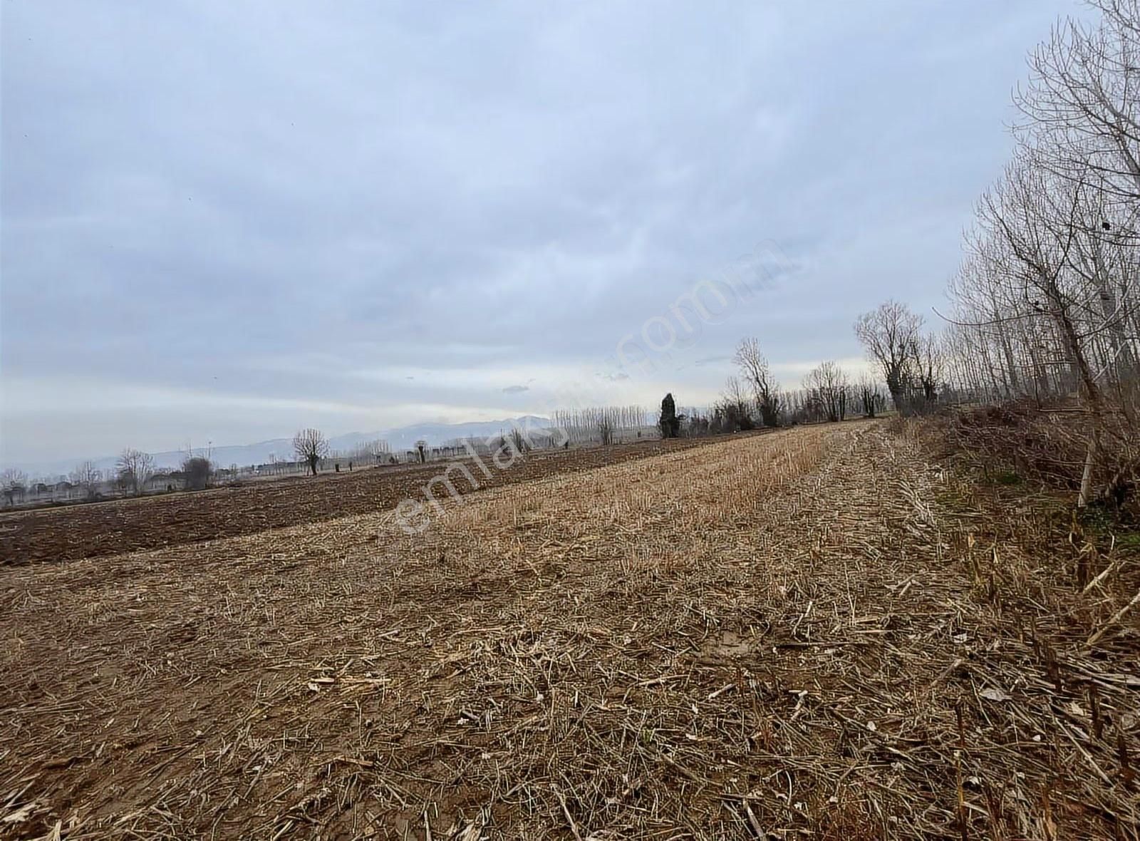 Köy İçine Yakın Konumda 1230m2 Yatırımlık Arazi - Görsel 8