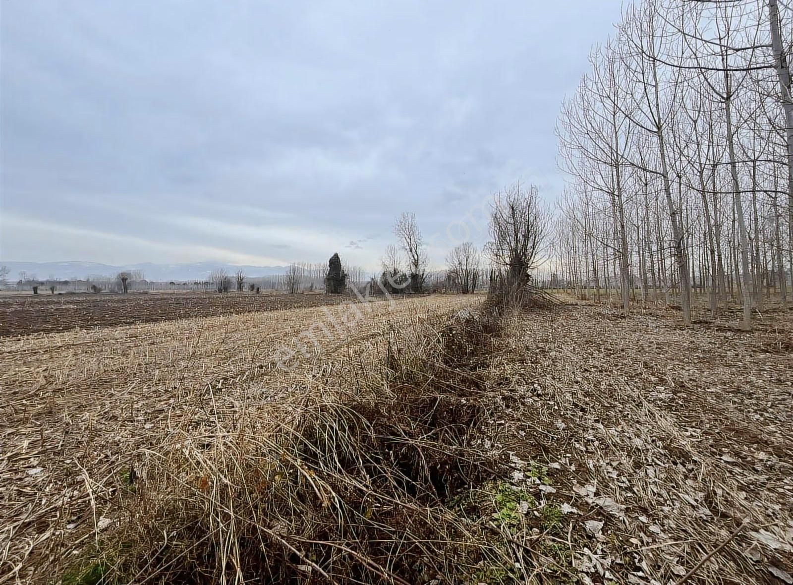 Köy İçine Yakın Konumda 1230m2 Yatırımlık Arazi