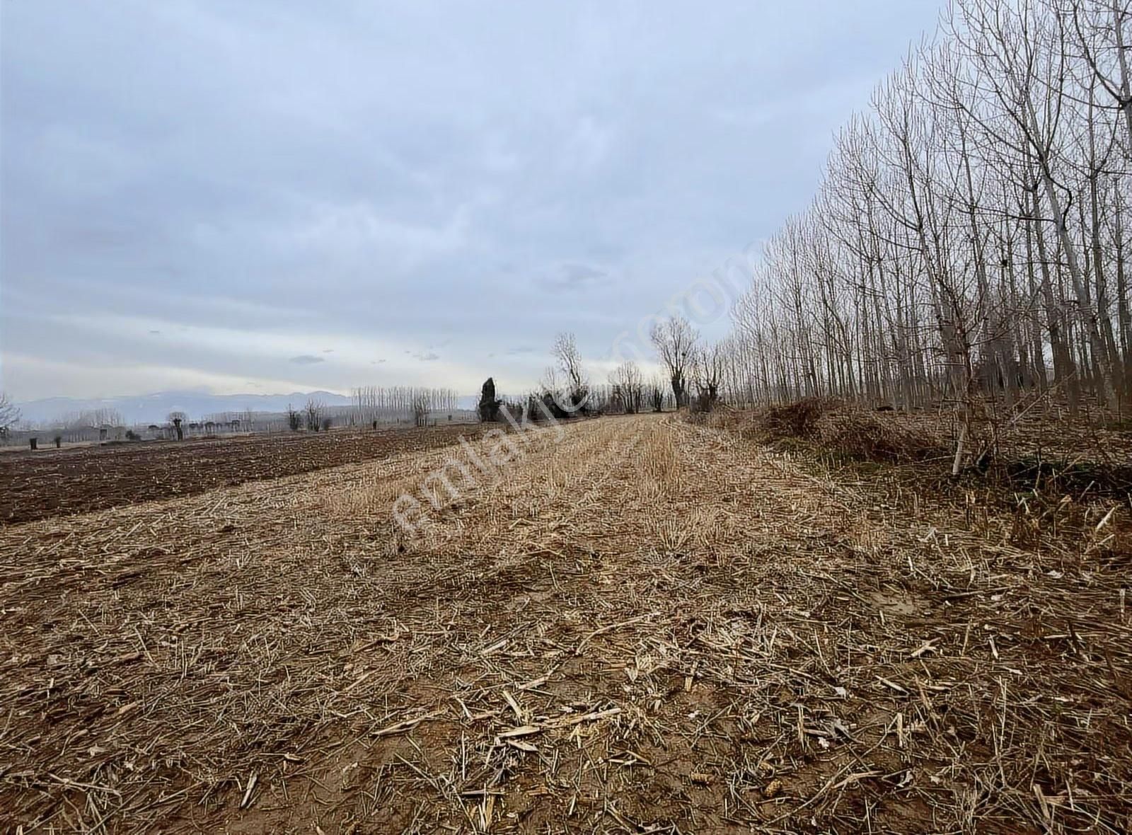 Köy İçine Yakın Konumda 1230m2 Yatırımlık Arazi - Görsel 6