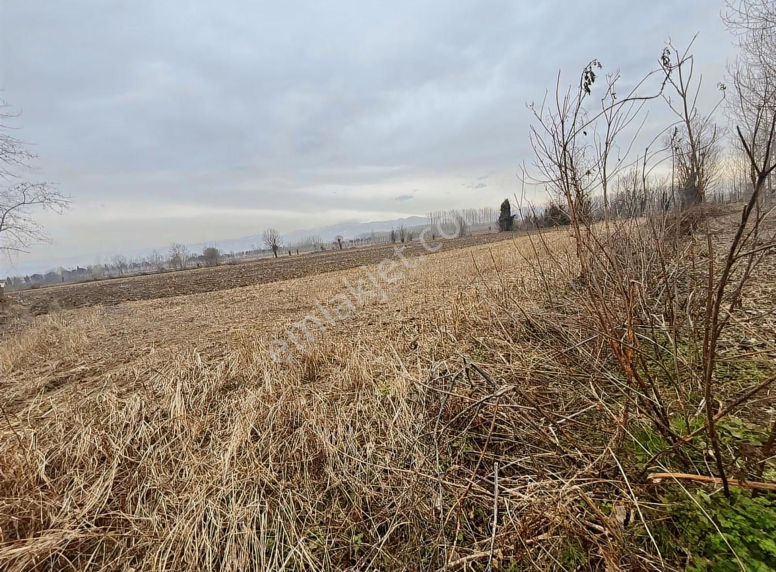 Köy İçine Yakın Konumda 1230m2 Yatırımlık Arazi - Görsel 4