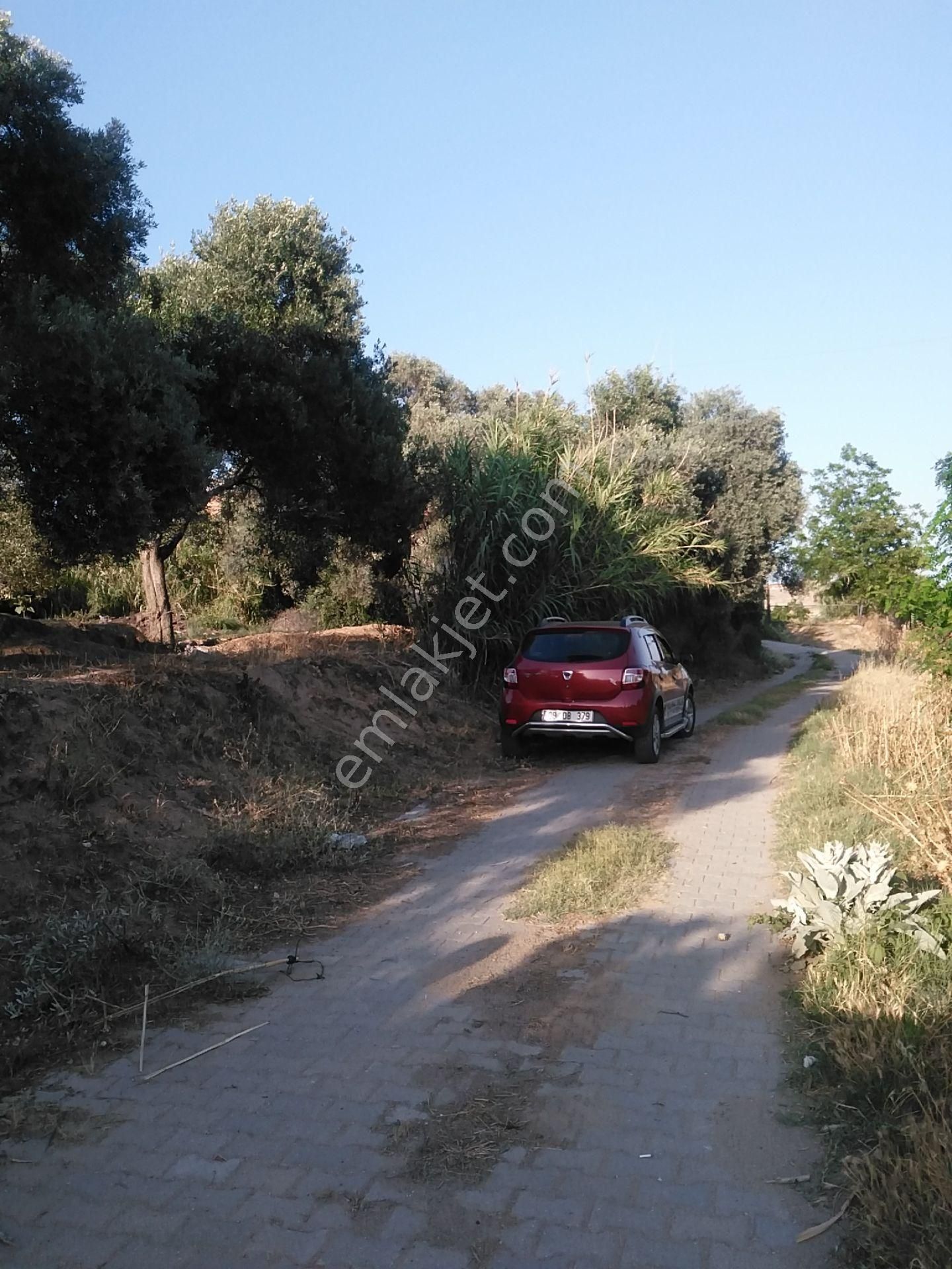 632 Ocaklı (yıldıztepe) Mahallesi Arasında Satılık Arsa - Görsel 3