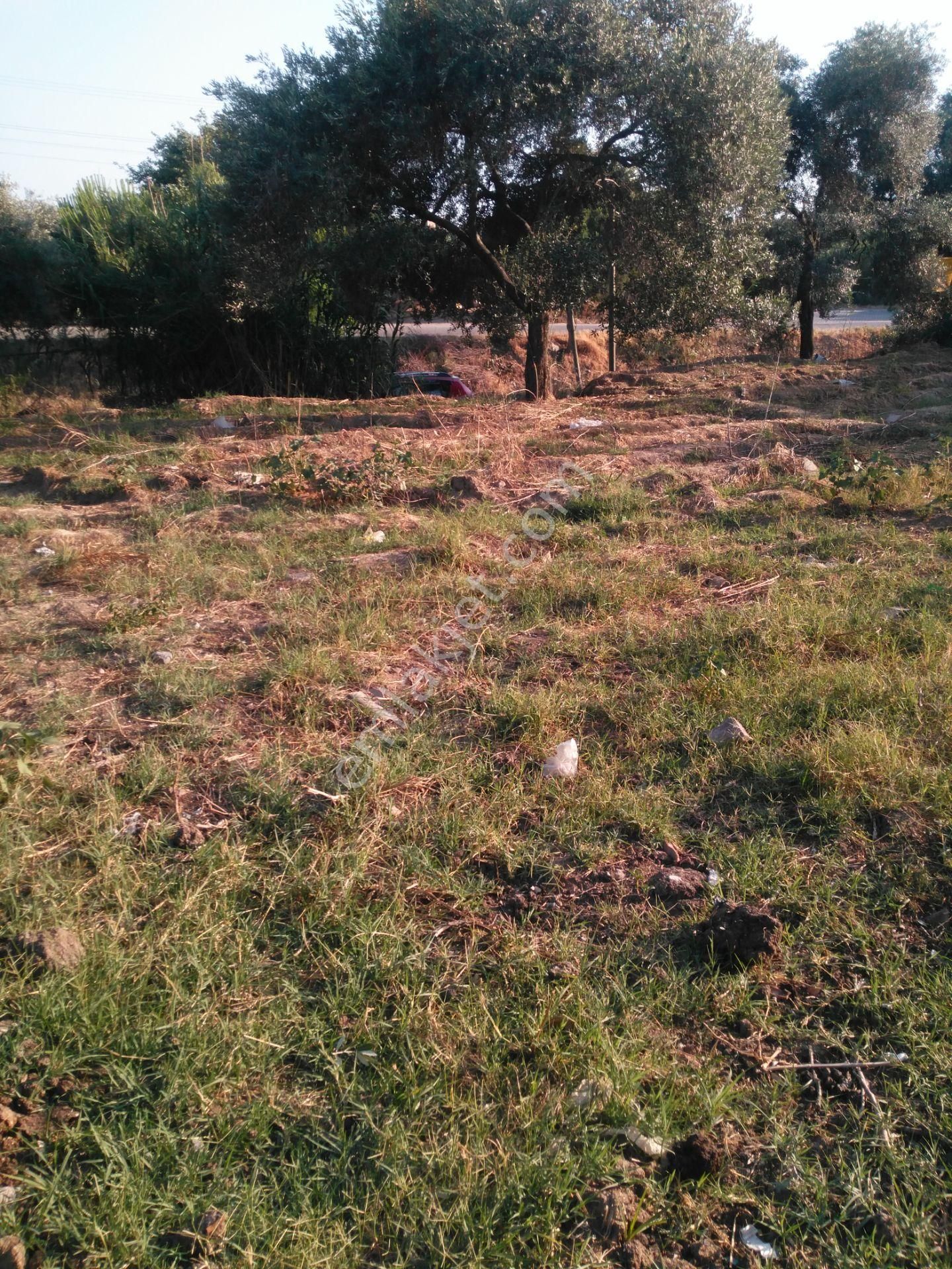 632 Ocaklı (yıldıztepe) Mahallesi Arasında Satılık Arsa - Görsel 27