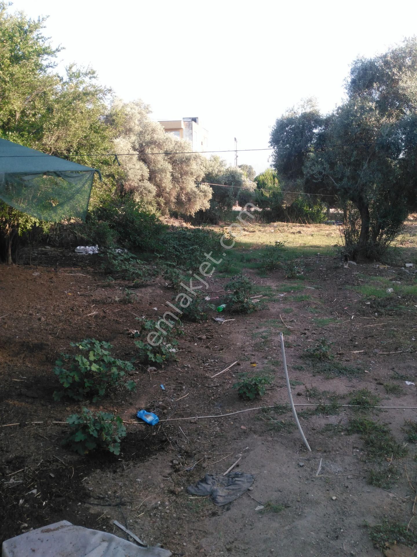 632 Ocaklı (yıldıztepe) Mahallesi Arasında Satılık Arsa - Görsel 25