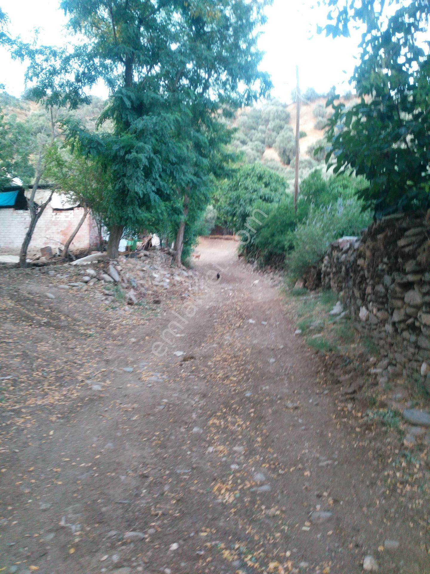 Ocaklı Mahallesin De Satılık Köy İçi Arsa - Görsel 13