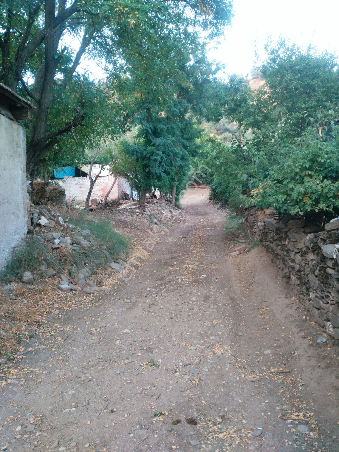 Ocaklı Mahallesin De Satılık Köy İçi Arsa - Görsel 7