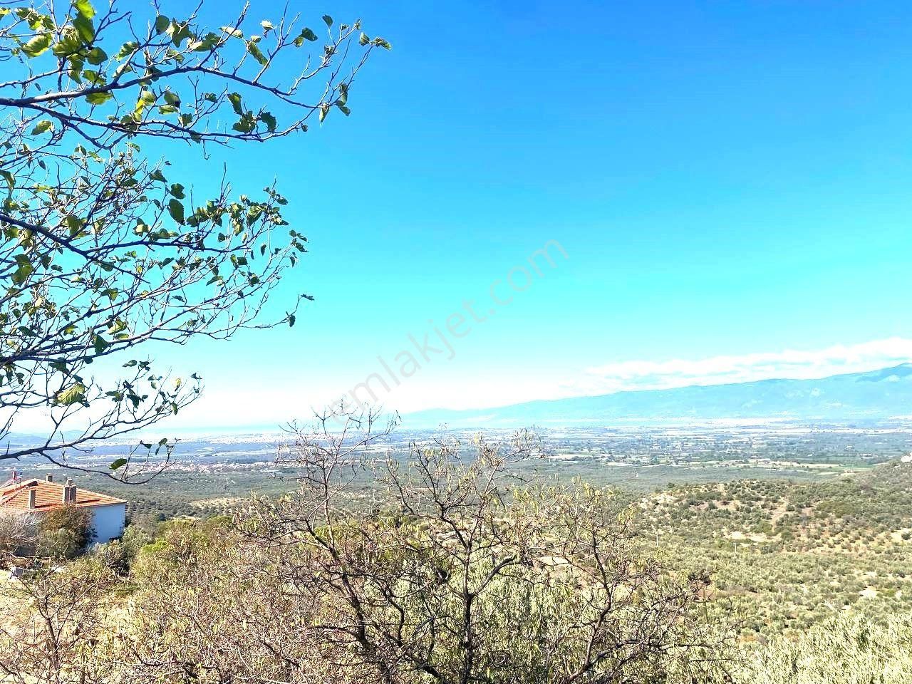 🟥aktif'ten Dutlucada 278m2'lik Satılık Manzaralı Arsa - Görsel 7