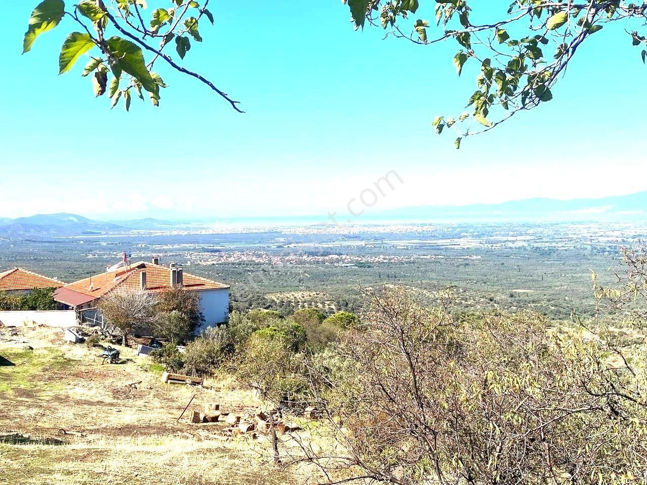 🟥aktif'ten Dutlucada 278m2'lik Satılık Manzaralı Arsa - Görsel 2