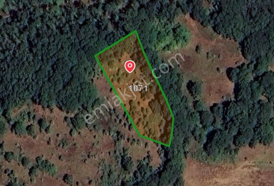 Çanakkale Biga Harmanlı Köyü Satılık 1830m2 Arazi