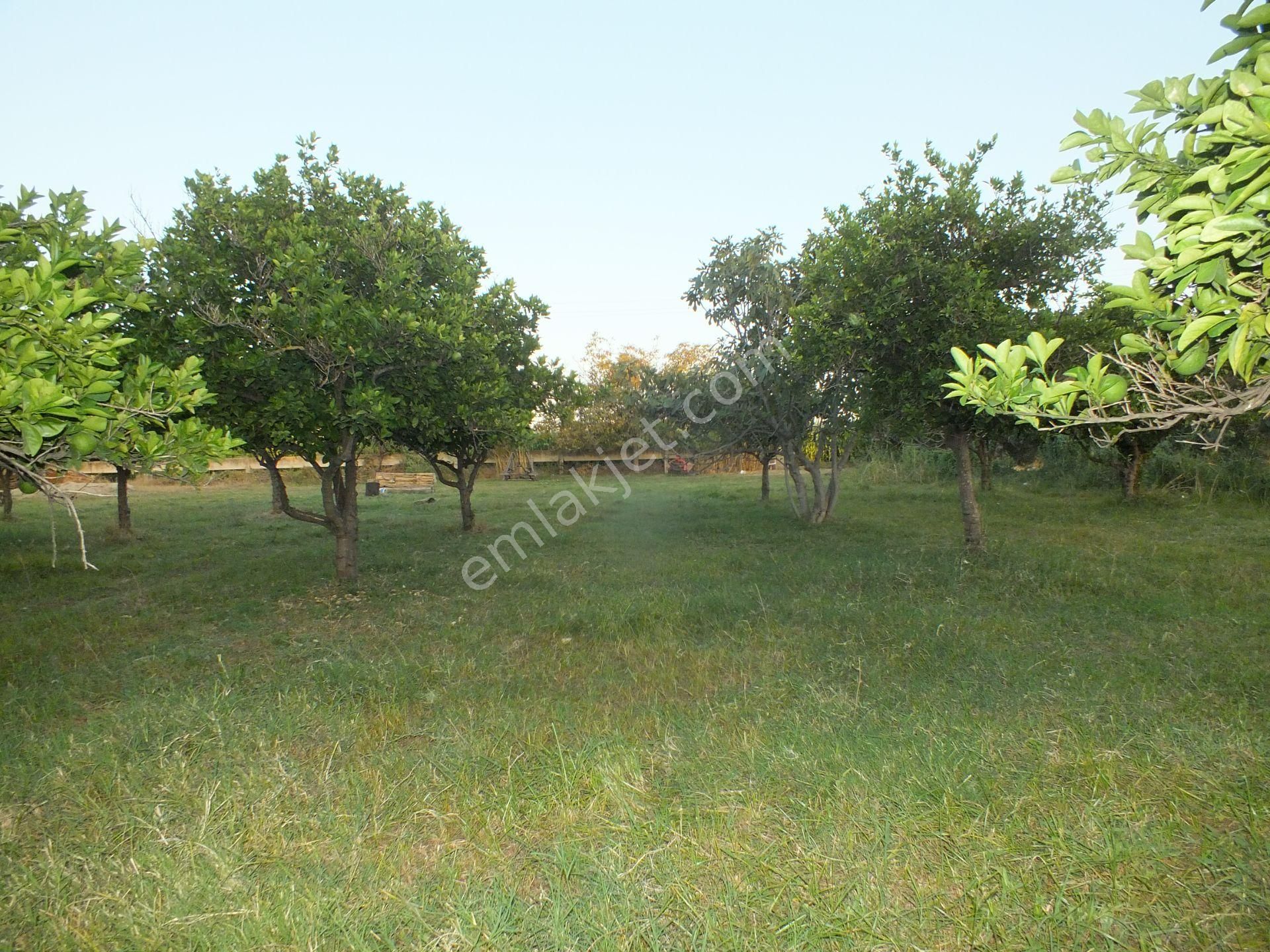 Durasıllı Mahallesinde Satılık Arsa