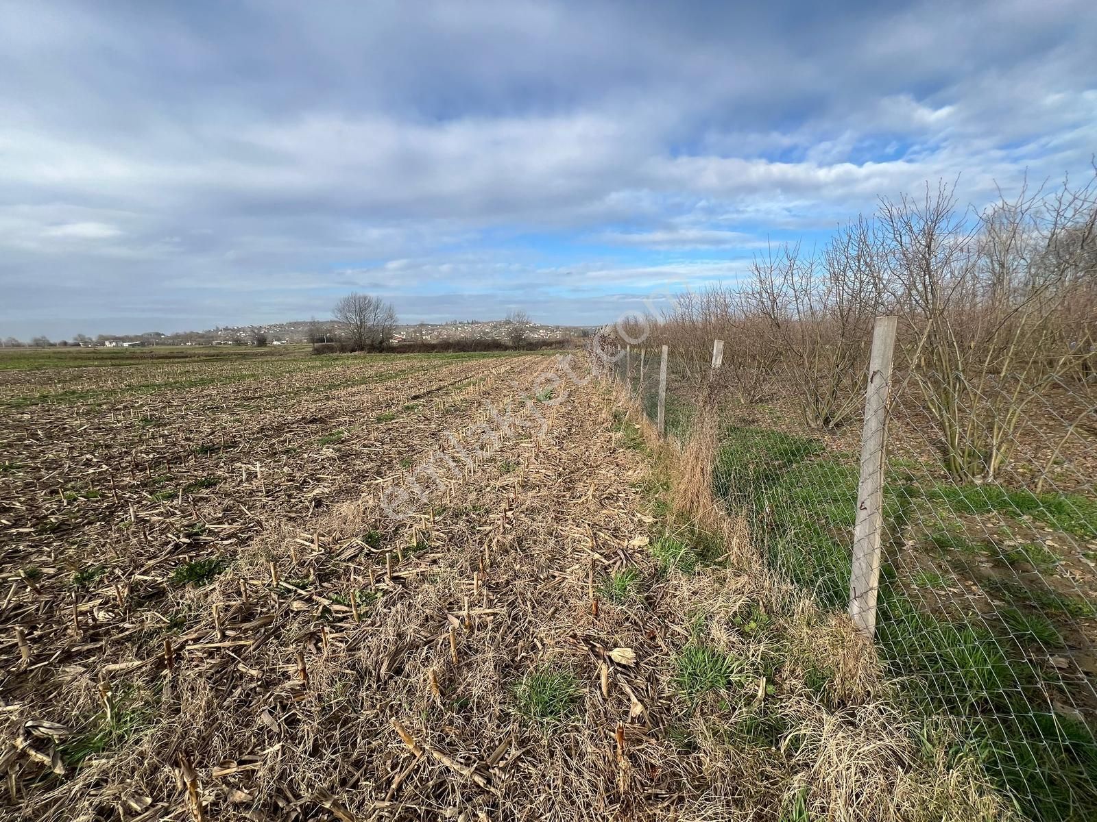 Gölkentin Merkezinde! Yola Cephe, Düz Ayak, Fırsat Arazi - Görsel 12