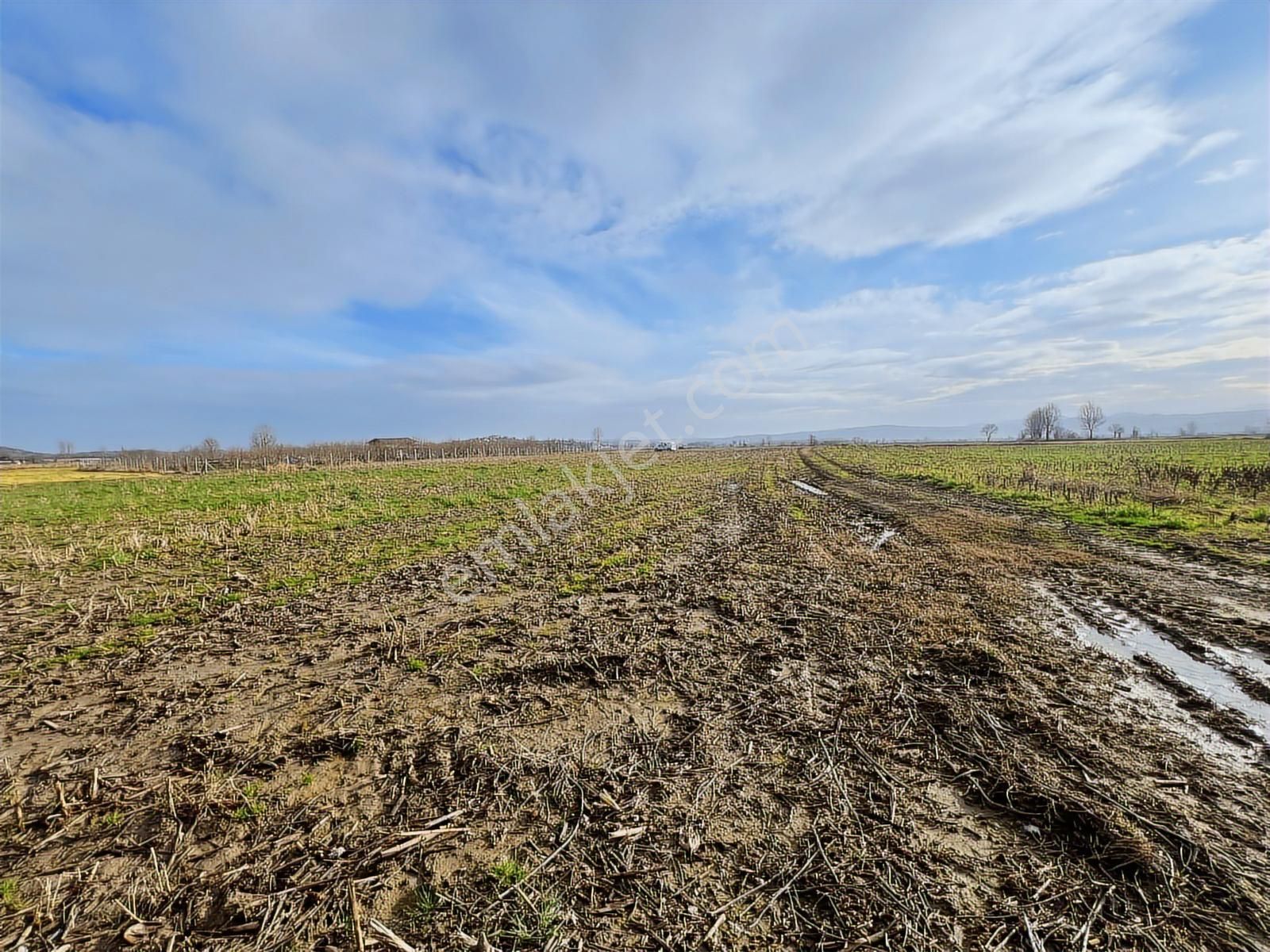 Gölkentin Merkezinde! Yola Cephe, Düz Ayak, Fırsat Arazi - Görsel 9
