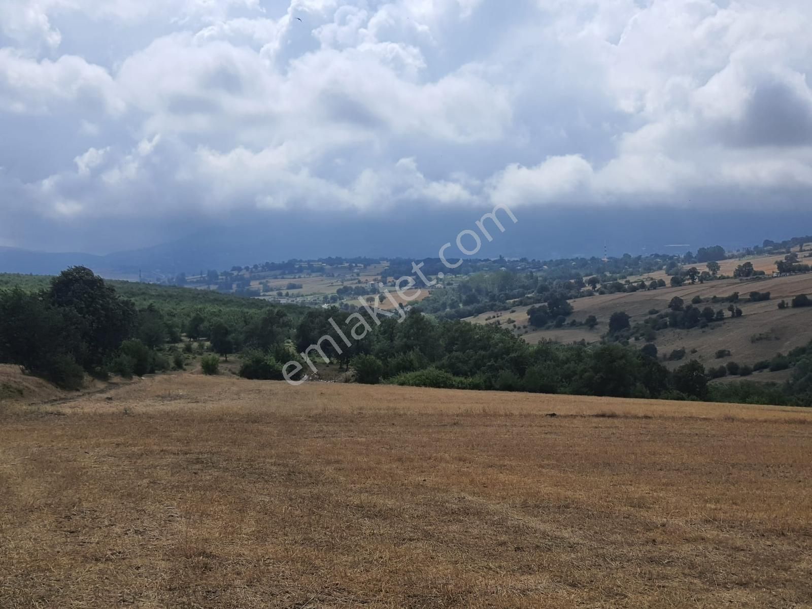 Atakum Alanlı'da Plan İçinde 2607 M2 Satılık Hisse - Görsel 3