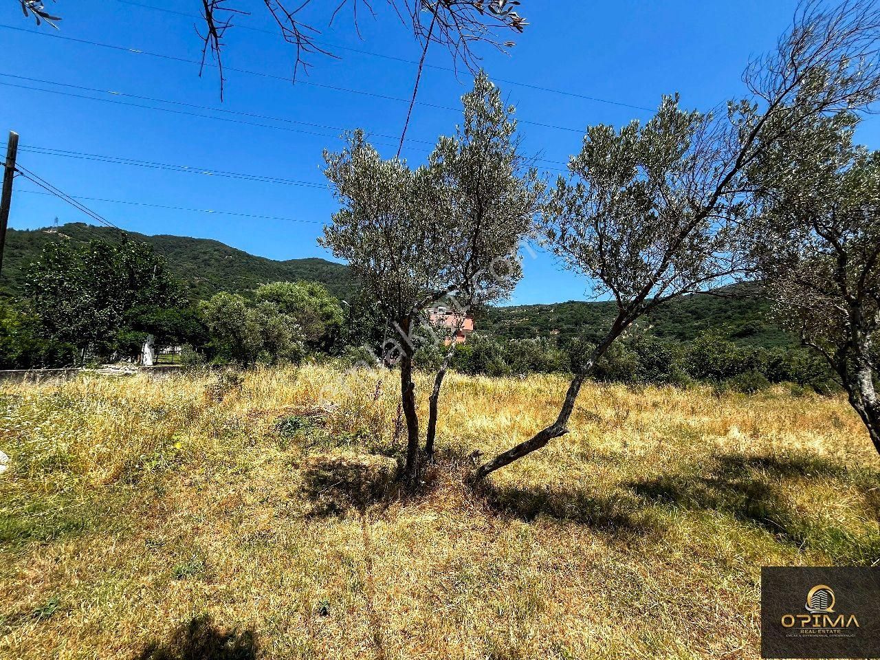Opima Emlak'tan Ocaklarda Halk Plajına 380m Mesafede Satılık Arazi - Görsel 34