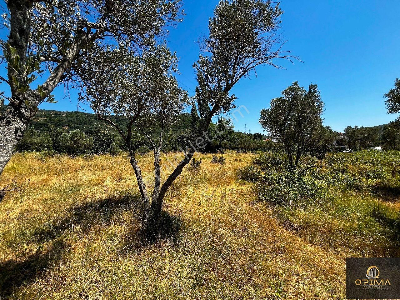 Opima Emlak'tan Ocaklarda Halk Plajına 380m Mesafede Satılık Arazi - Görsel 35